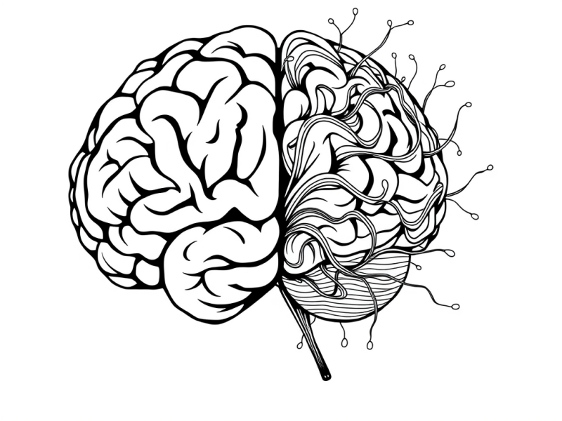 Things I Know For Sure (and the Things I&nbsp;Don’t)